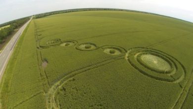 Photo of Загадочные круги на полях