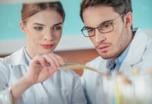 Photo of Исследование процесса планетообразования