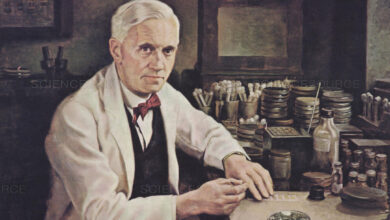 Photo of Удивительные открытия Александра Флеминга