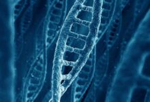 Photo of Разбор строения ДНК