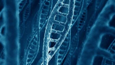 Photo of Разбор строения ДНК
