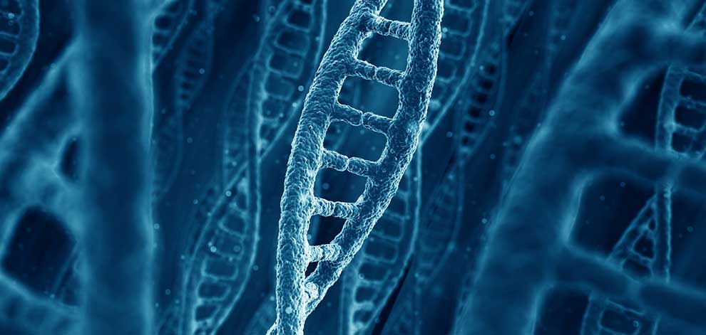 Фото 39 — Разбор строения ДНК