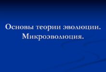 Photo of Описание механизмов эволюции