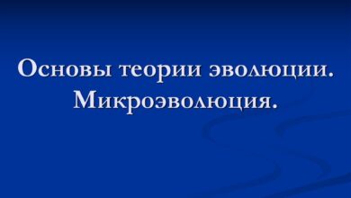 Photo of Описание механизмов эволюции