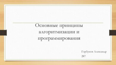 Photo of Основные принципы программирования